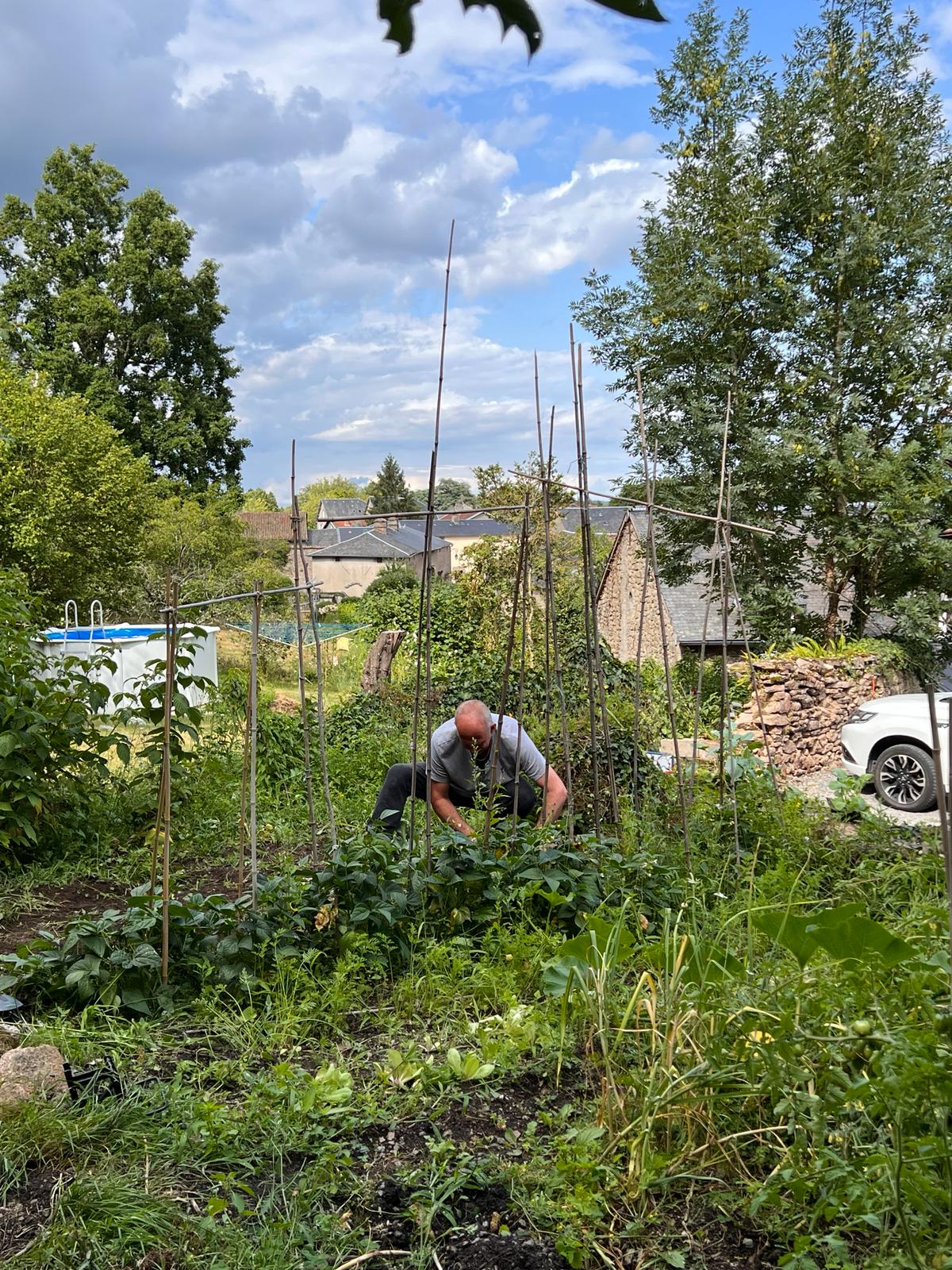 gardening